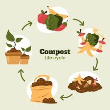 Reducing Waste with Effective Home Composting