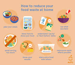 Minimizing Food Waste at Home